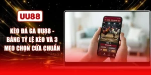 Kèo Đá Gà UU88 - Bảng Tỷ Lệ Kèo Và 3 Mẹo Chọn Cửa Chuẩn